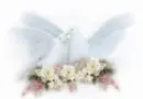 doves