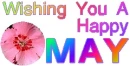 Happy May