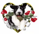 cute dog