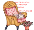 CAT IN CHAIR
