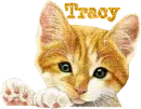 tracy's cat