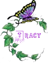 butterfly half circle
