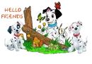 DALMATION PUPPIES