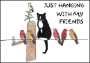 CAT ON WIRE WITH BIRDS