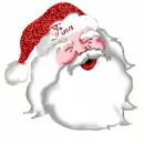 tina santa