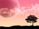 Pink World