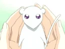 Yuki