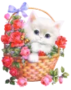 kitty in a basket
