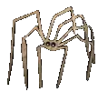 Hallowen Spindel