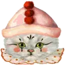 kitty