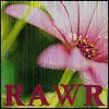 rawr pink flower