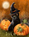 Trick or Treat
