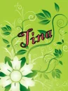 TINA