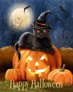 Happy Halloween!