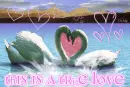 true love 