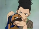 shikamaru and pakkun