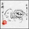 akamaru and pakkun