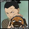 shikamaru and pakkun