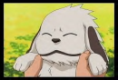 akamaru