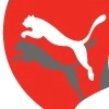 puma2