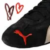 puma3