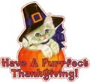 Purrrfect ThanksGiving