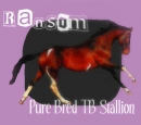 Horsessssssssss