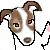 dog saying hello