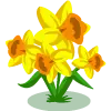 yellow flowers