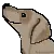 yumy dog