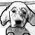 dog saying please