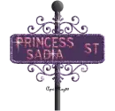 street sign princess sadie ST