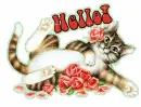 Hello~Cat