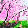 beautiful nature