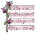 Have a Beautiful Day hugs Christy