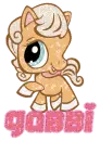 Gabbi