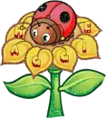 maggie's ladybug on a flower