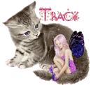 tracy's cat with fairy