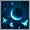 beautiful moon