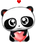 cute panda
