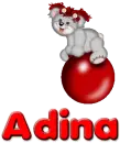Bounce teddy- Adina