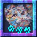 colorful cat