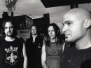 disturbed