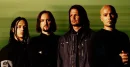 disturbed