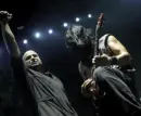 disturbed
