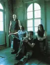 disturbed
