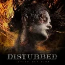 disturbed