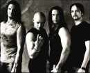 disturbed