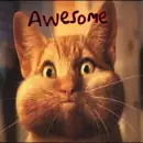 AWESOME