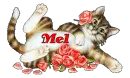 MEL